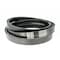 Dayco Serpentine Belt, R5VX1000-2 R5VX1000-2 - alternate 1